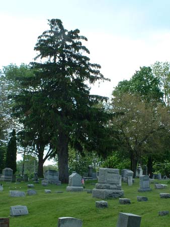 DSCF0114-1